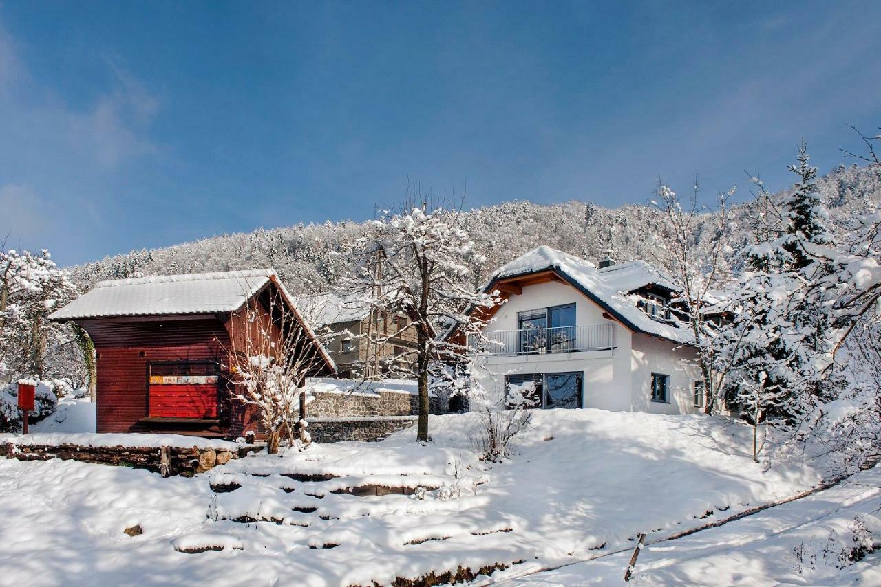 Apartments Sivka - Private Sauna Церклье-на-Гореньскем Экстерьер фото